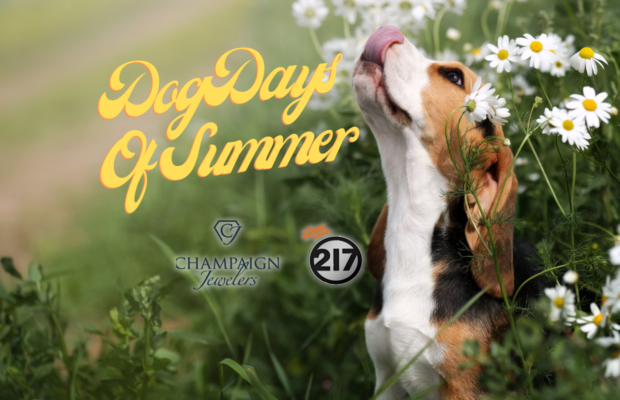 Dog Days of Summer: FINALS!