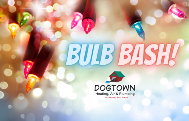 Bulb Bash Gallery