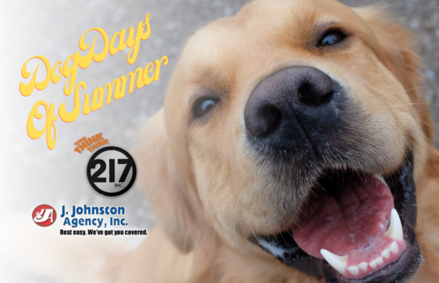 Vote In The Dog Days of Summer!