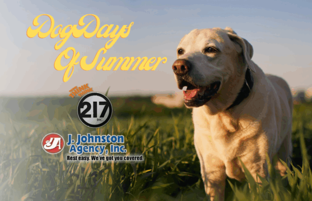 It’s The Dog Days of Summer!