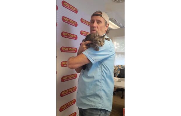 Pet of the Week: Meet Danza, who explores like a tiny tiger Pet of the Week: Meet Danza, who explores like a tiny tiger