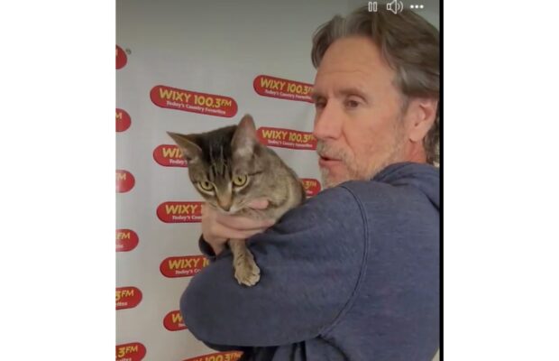 PET OF THE WEEK: Meet lap-cat Syke with the huge, green eyes and a soft purr and meow