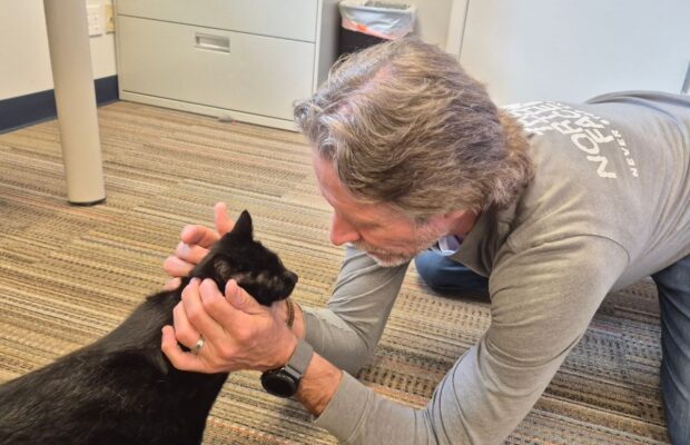 PET OF THE WEEK: Meet Iker, who spent half the interview on Duane’s back