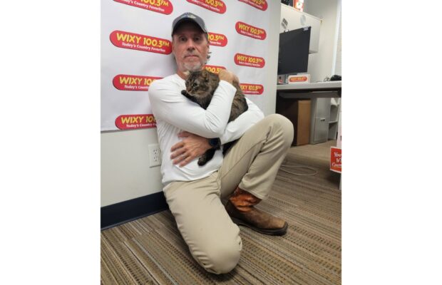 PET OF THE WEEK: Meet Skylar, the softest, most curious cuddler and player