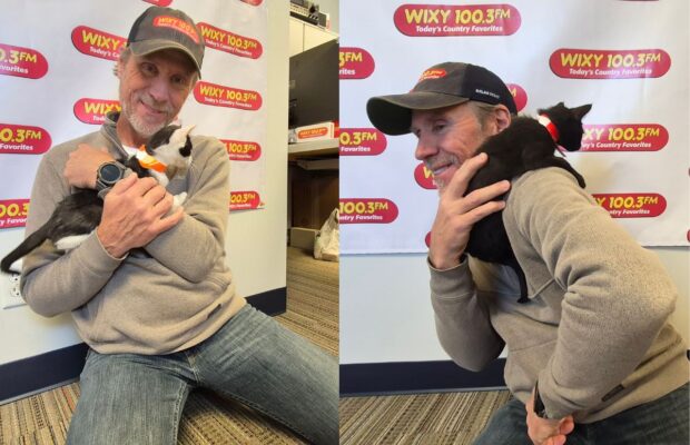 PET(S) OF THE WEEK: Meet the purring duo taking over the WIXY 100.3 studios