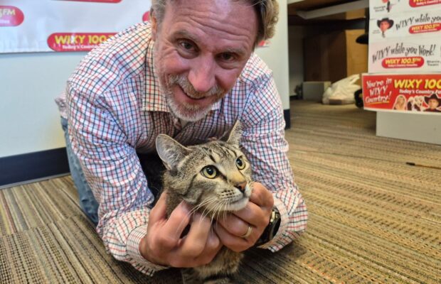 PET OF THE WEEK: “Little One” melted as soon as Duane started petting her