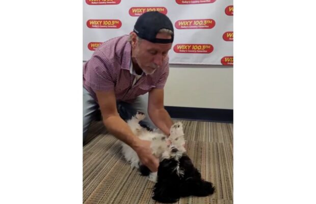 Pet of the Week: Meet Jeffrey, a Shih Tzu mix with a lot of energy (and so cute!)