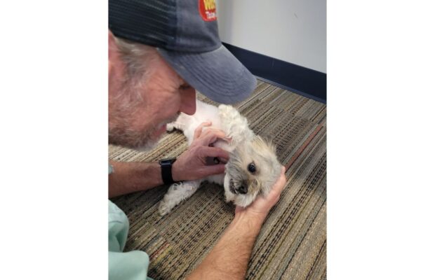 Pet of the Week: A staff favorite – Milton – who we all want to adopt