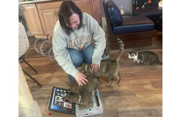PET OF THE WEEK: Back on the road to The Kitty Crib with Nicole